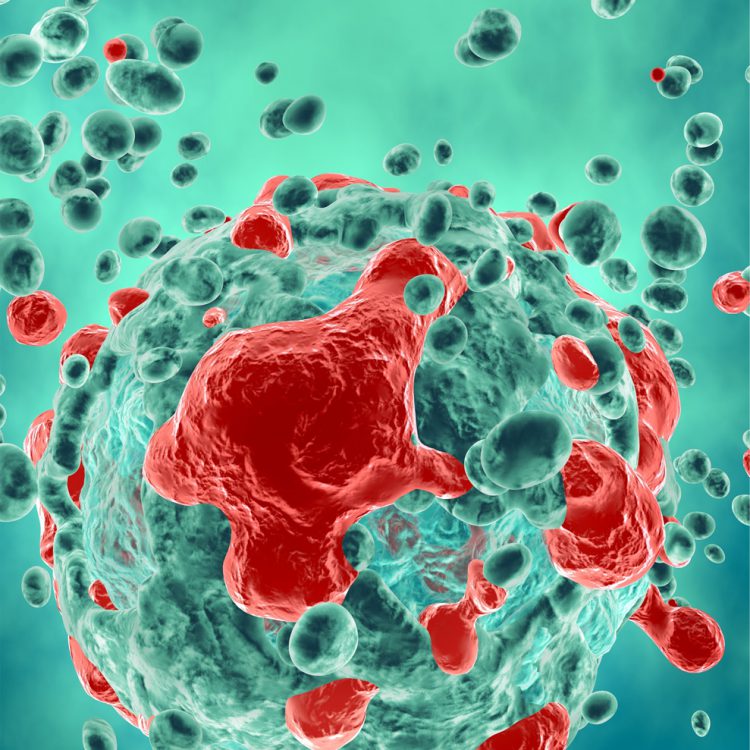 Digital illustration of cancer cells